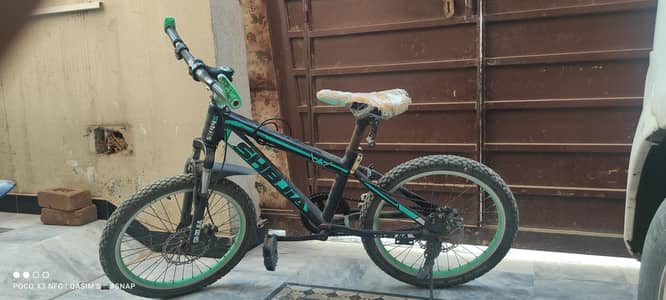 20 inch Cycle for sale