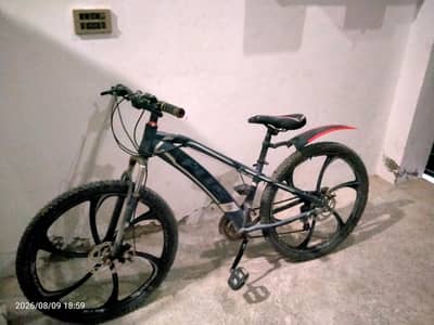 Mountain bike