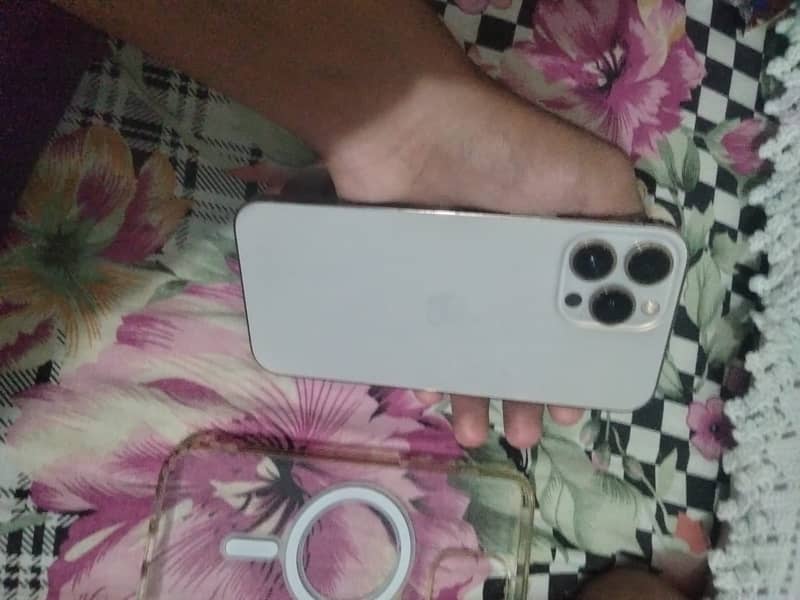 Apple iPhone 13 Pro Max 2