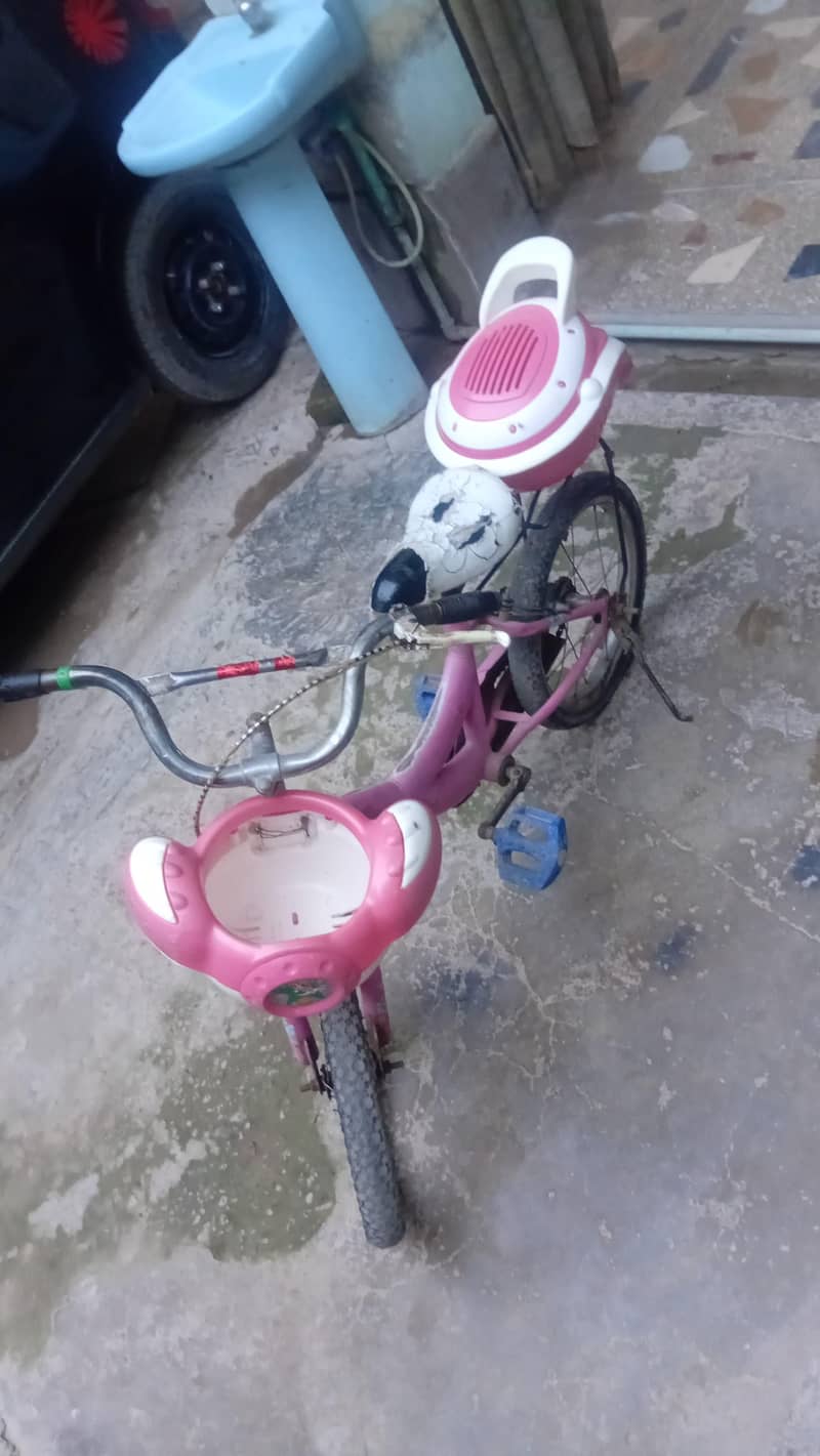 children cycle 2