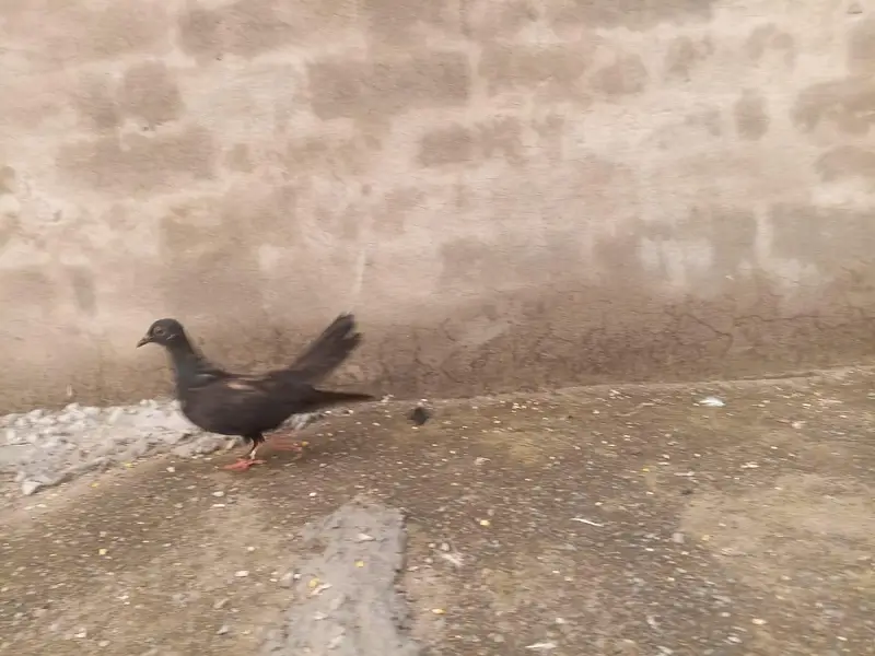 all setup for sale urgent for sale Time nahi HOTA es Lia sale kar Raha — photo 7