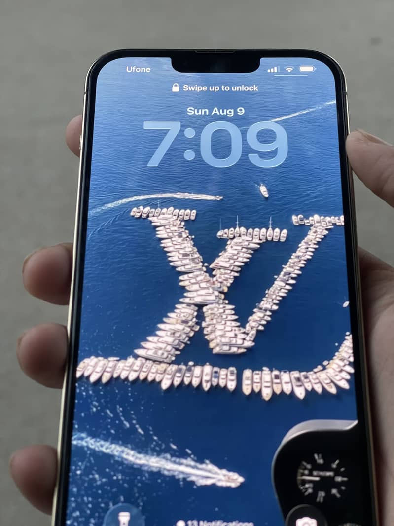 Apple iPhone 13 Pro Max 1
