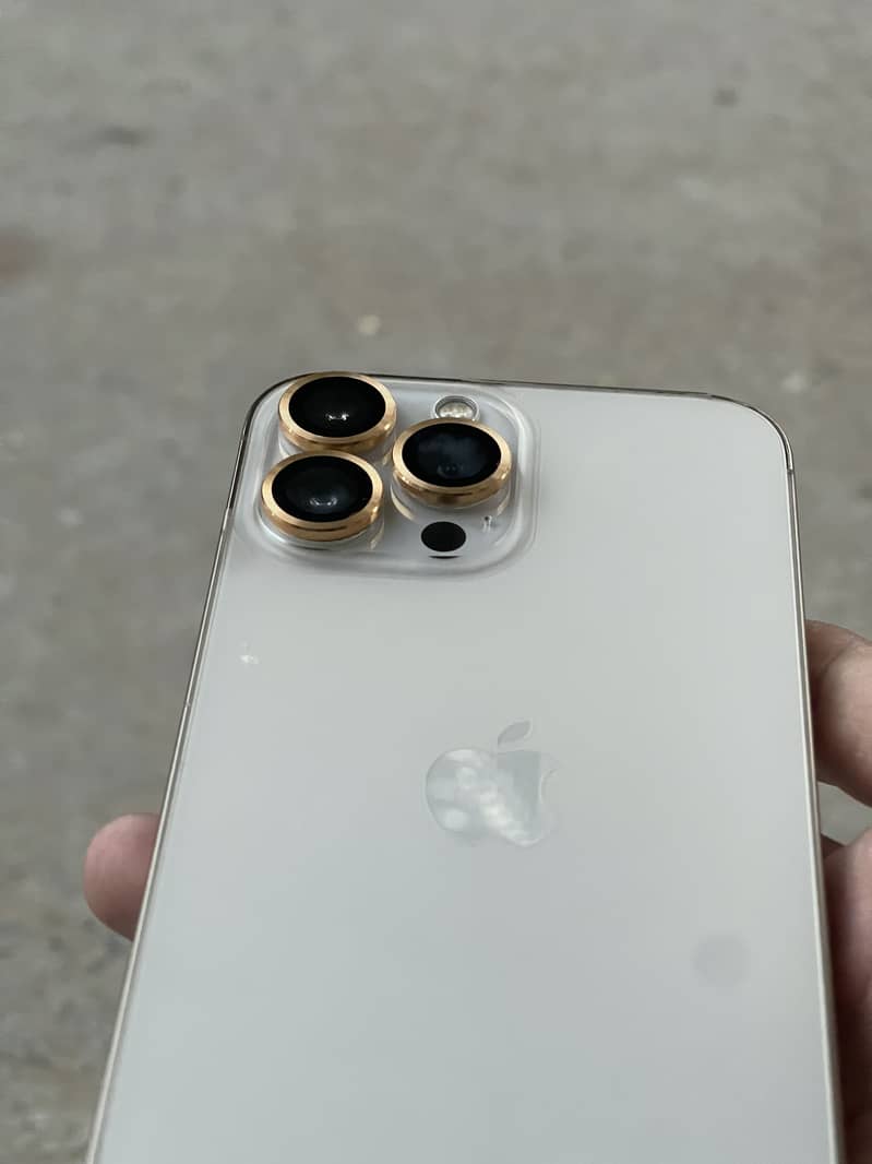 Apple iPhone 13 Pro Max 2