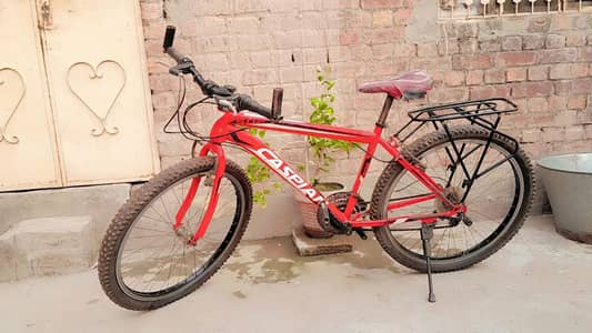 Cycle