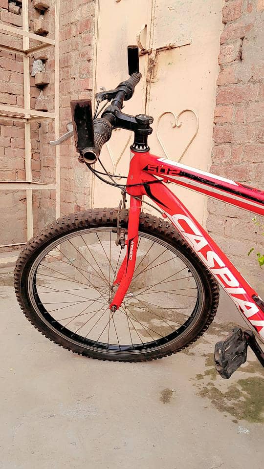 Cycle 5