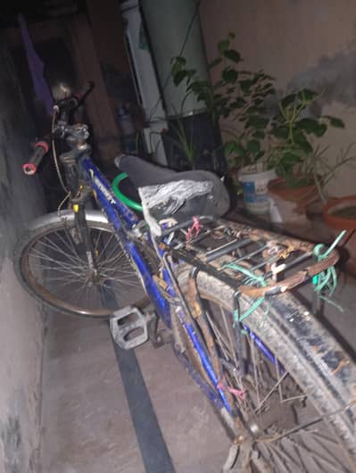 Cycle