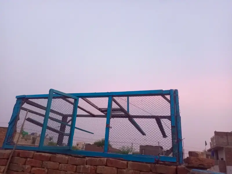 kabutro kaa jaal — photo 3