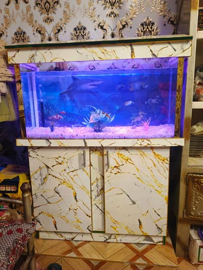 new Aquarium for sale