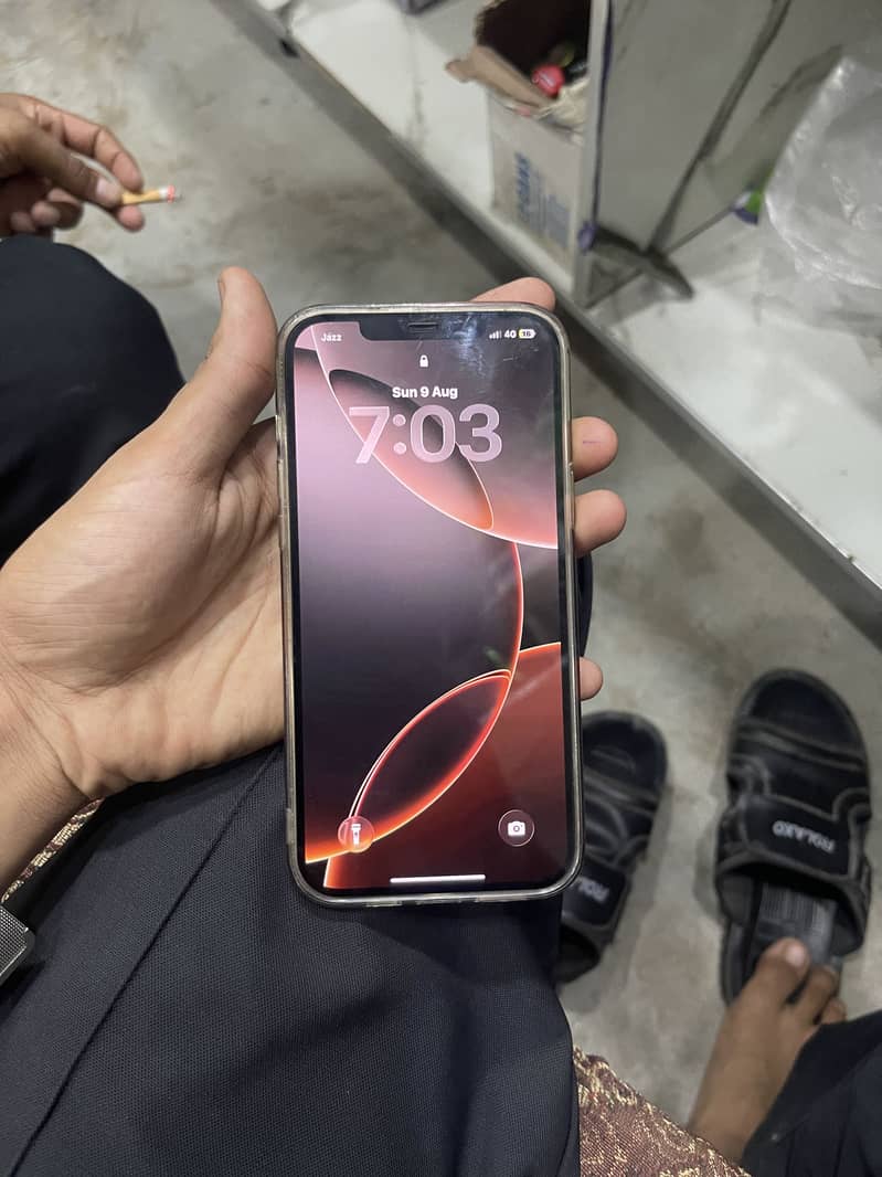 Apple iPhone 12 Pro Max 2