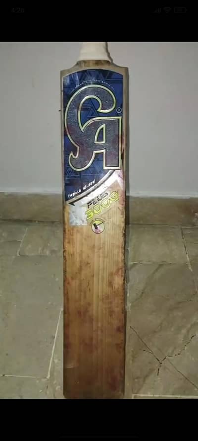 CA 3000 Plus English Willow