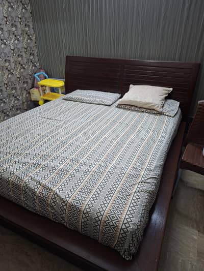 moltyfoam matress