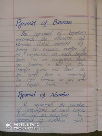 professional writer