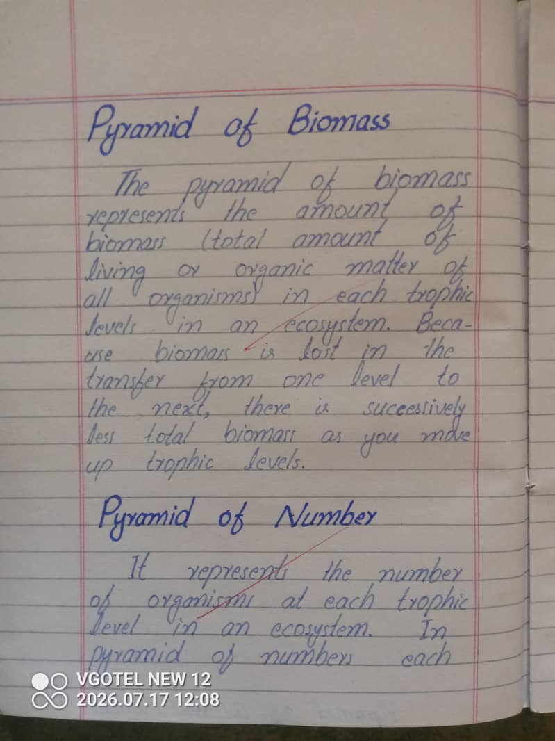 professional writer 0