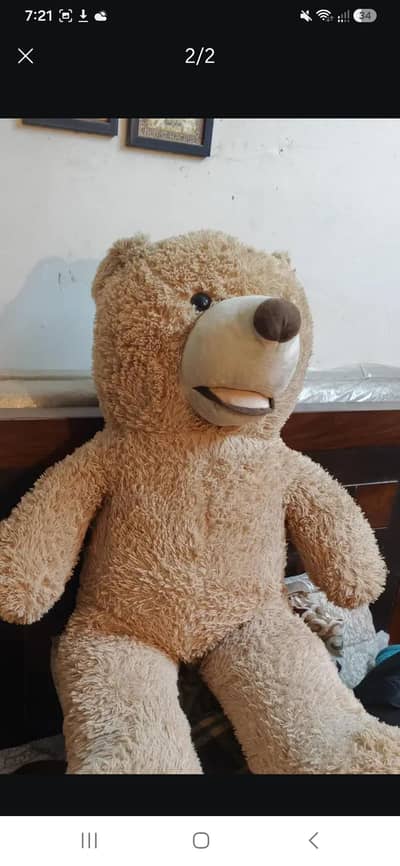Teddy bear for sell '