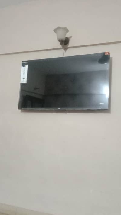 TCL LED 50"