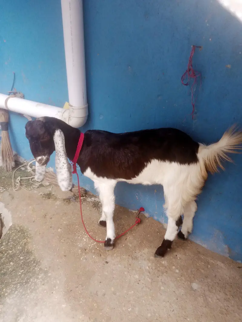 for sale contact number 031 559 11647 — photo 2