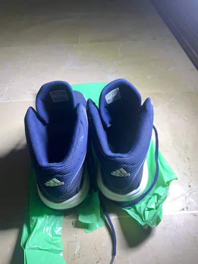 adidas original shoes ortholite