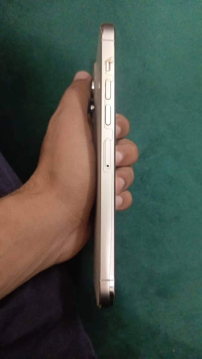 Apple iPhone 13 Pro Max 3