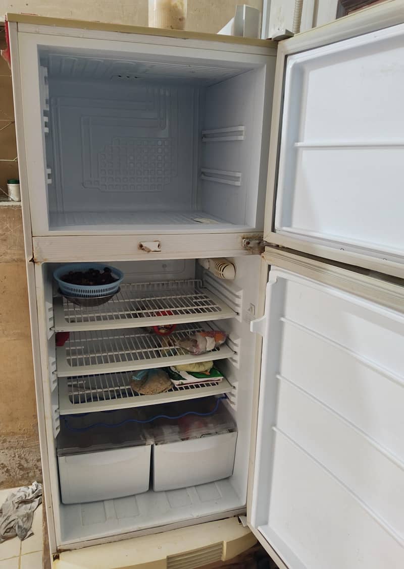 Pel Fridge 1