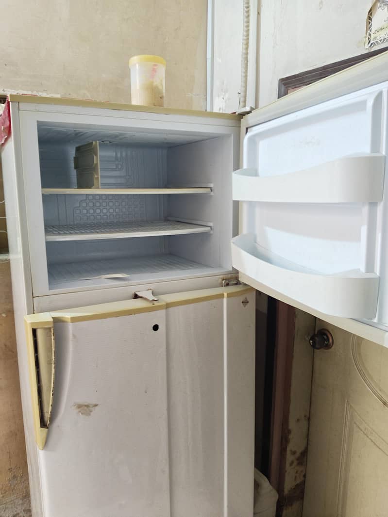Pel Fridge 2