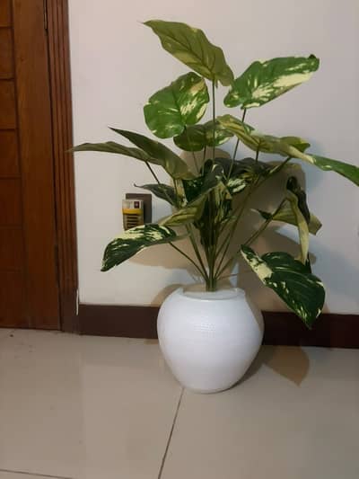 artificial plant for sale