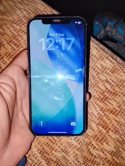 Apple iPhone 12