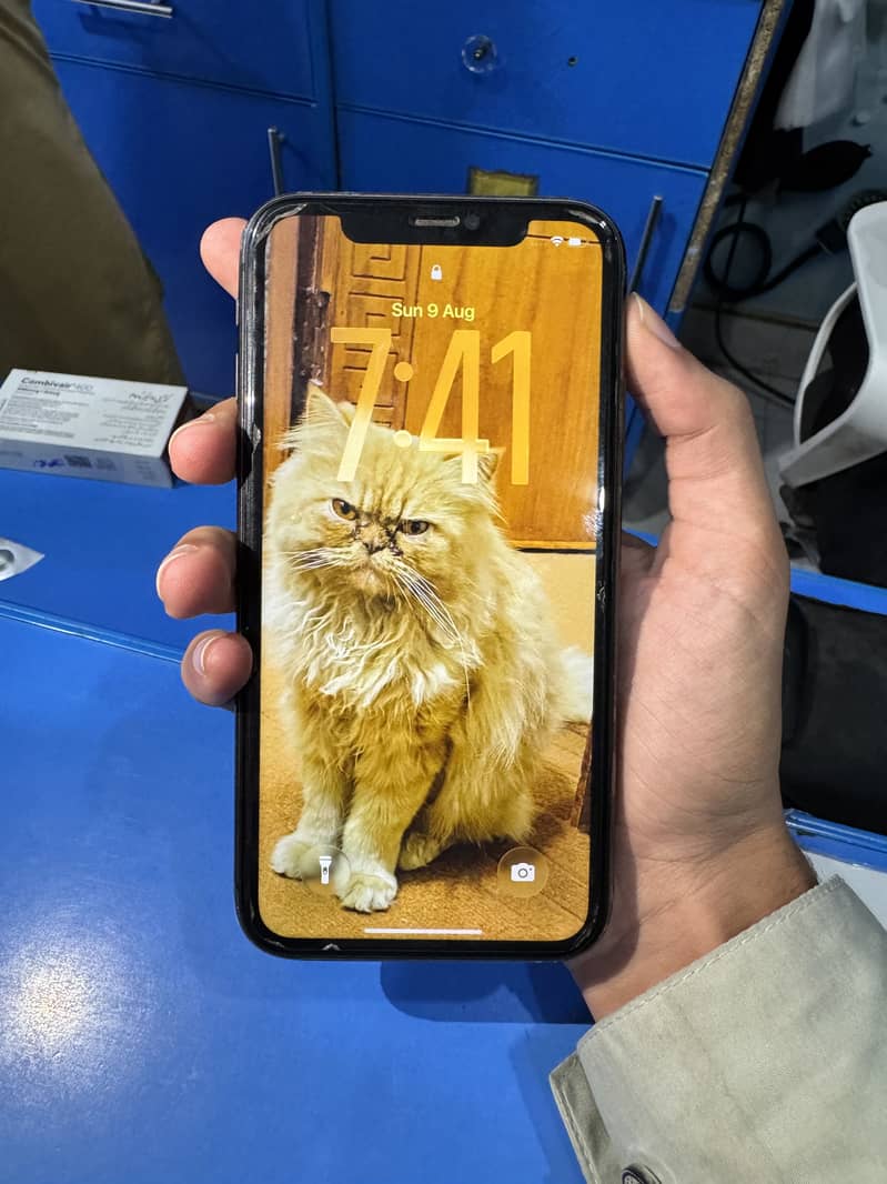 Apple iPhone 11 2
