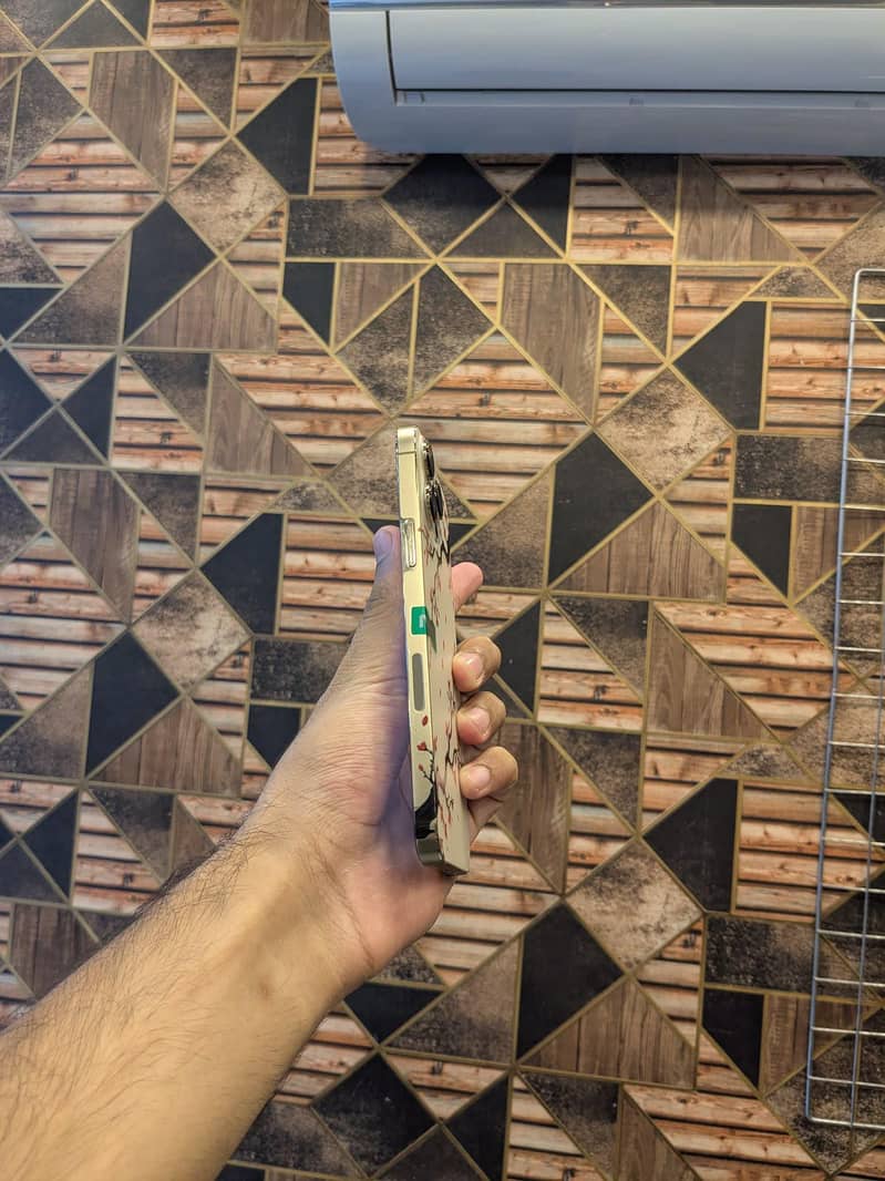 Apple iPhone 13 Pro Max 2