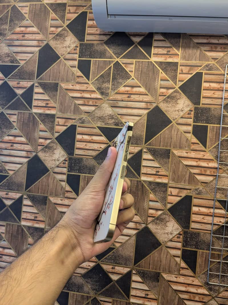 Apple iPhone 13 Pro Max 4