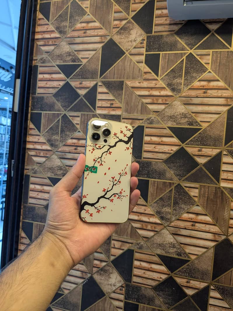 Apple iPhone 13 Pro Max 5