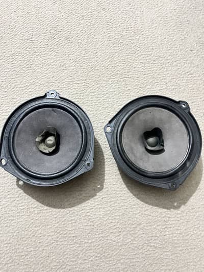 Japani alto speakers