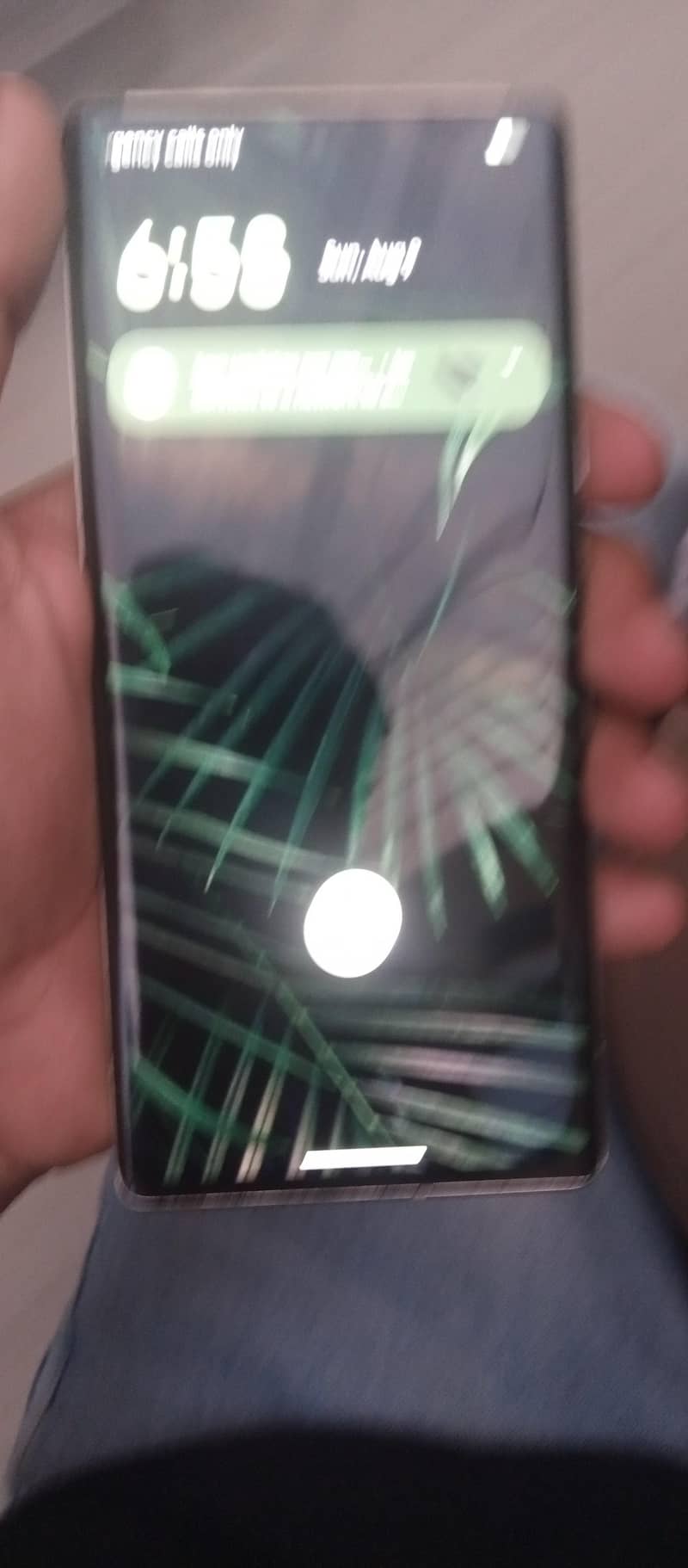 Google Pixel 6 Pro 1