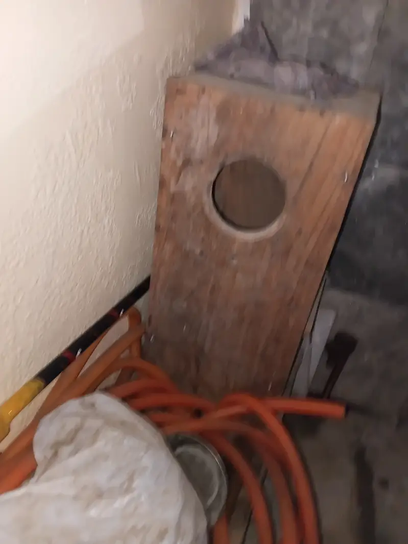 Raw parrot breeding Box — photo 2