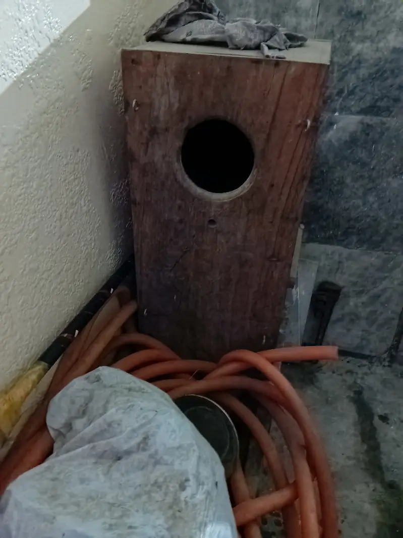 Raw parrot breeding Box — photo 3