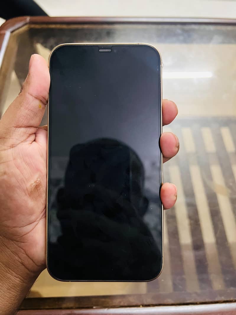Apple iPhone 12 Pro Max 1
