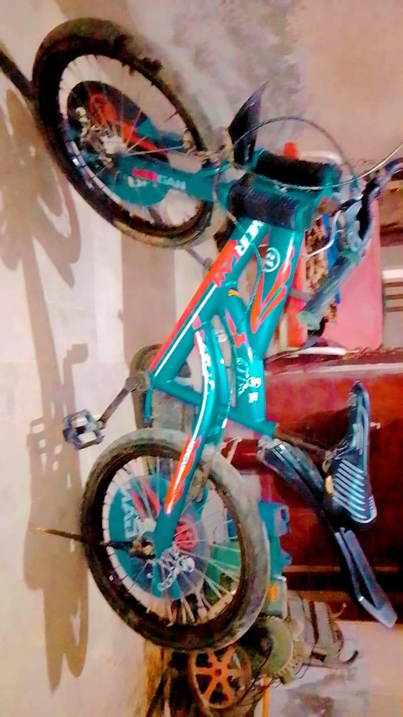 bicycle 1