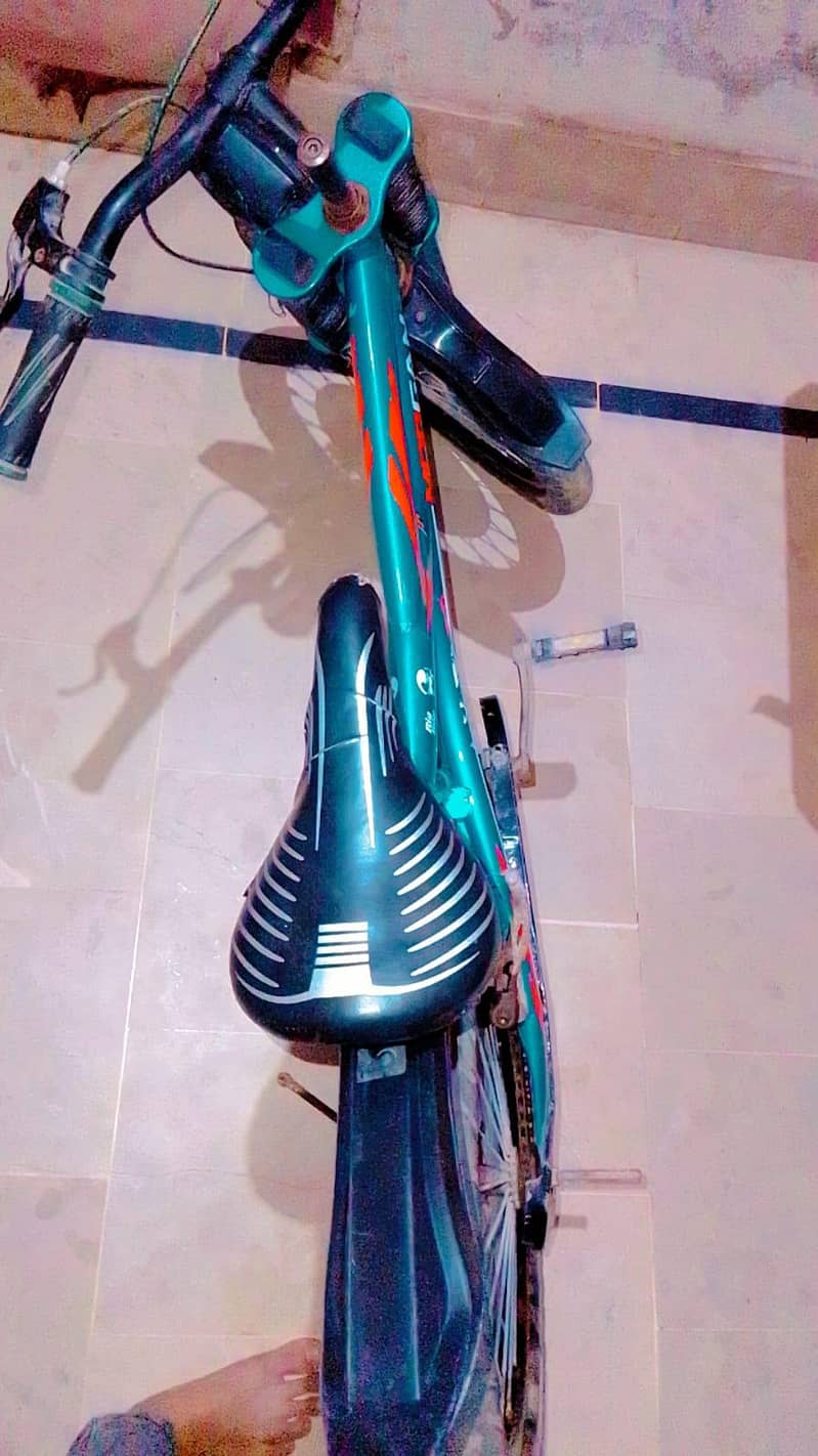 bicycle 2