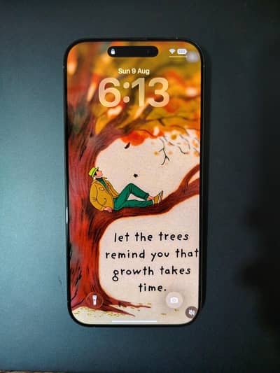 Apple iPhone 16 Pro Max JV