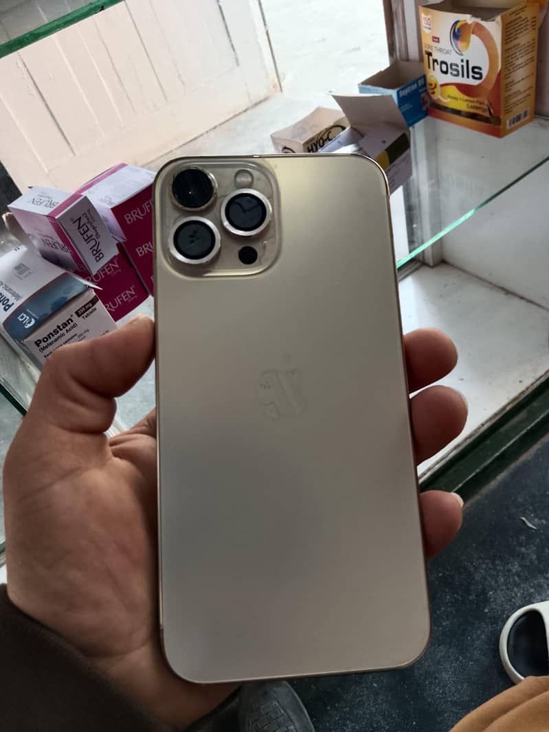iphone 13 pro max 5