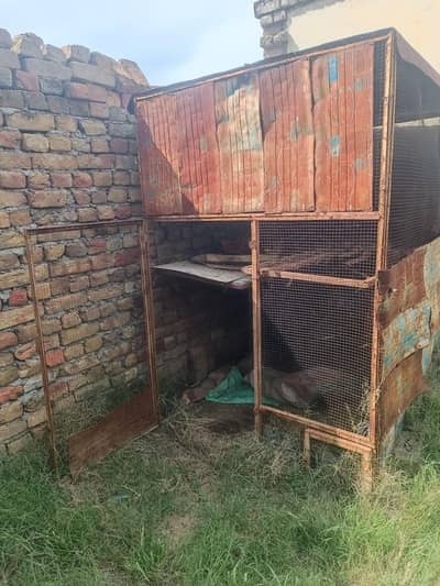 pinjra for sale