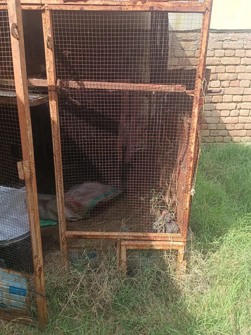 pinjra for sale — photo 3