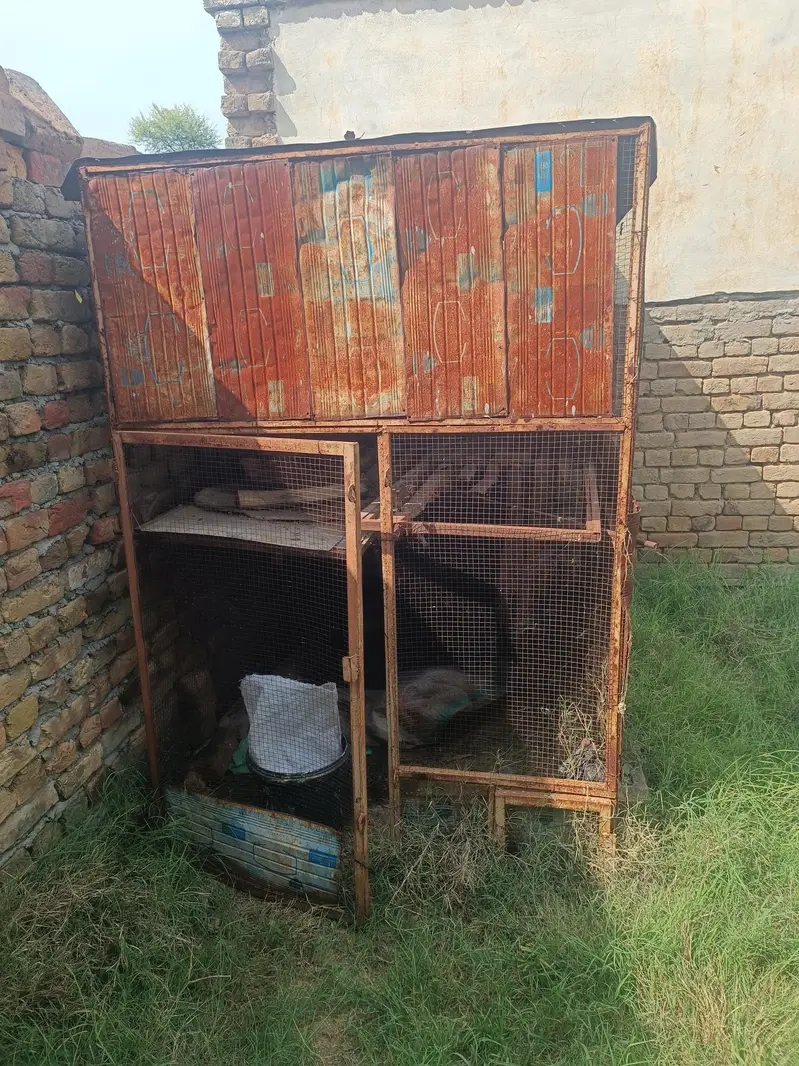 pinjra for sale — photo 4