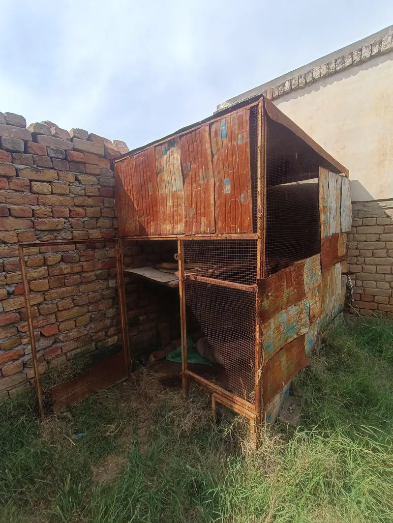 pinjra for sale — photo 5