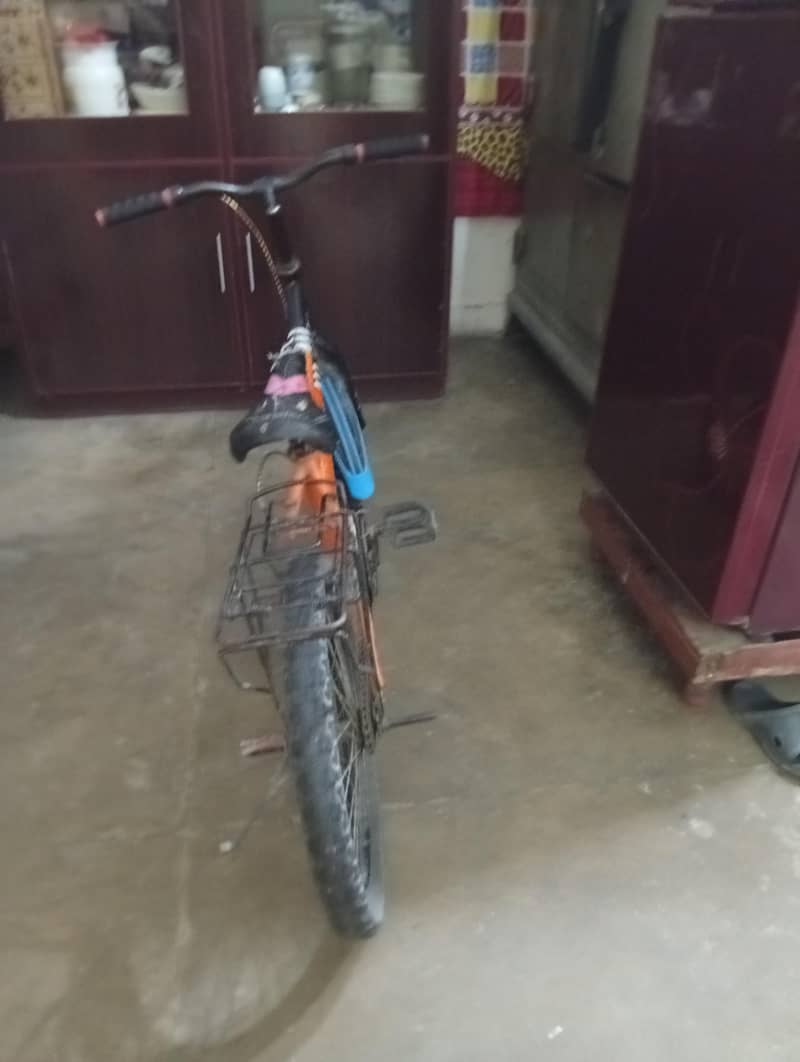 bicycle 2