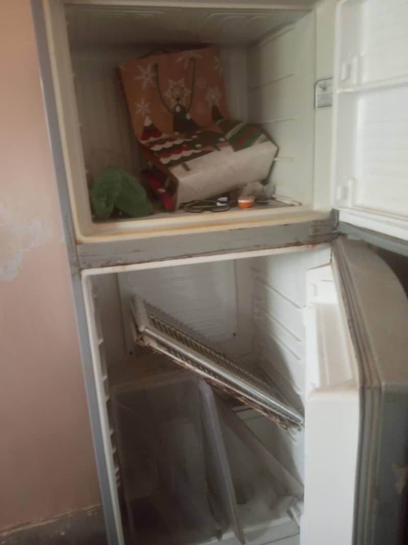 fridge 1
