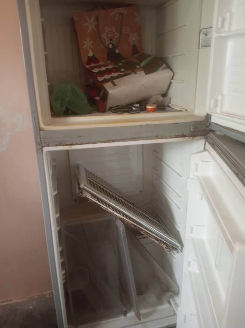 fridge 2