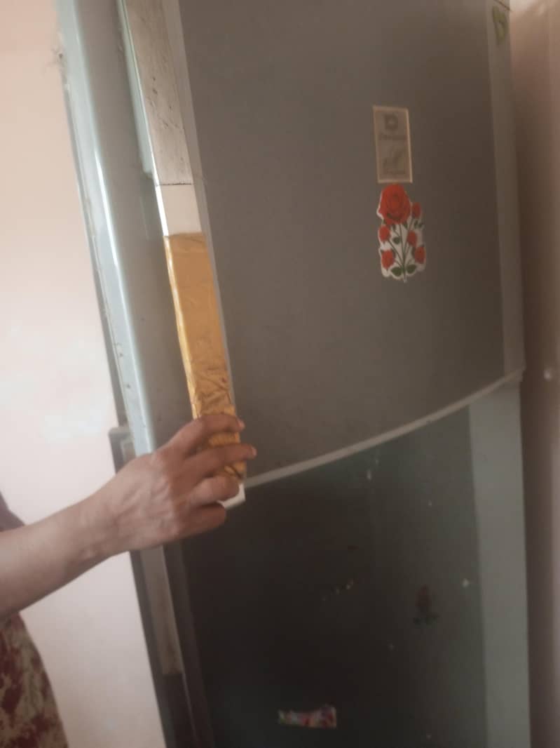 fridge 4