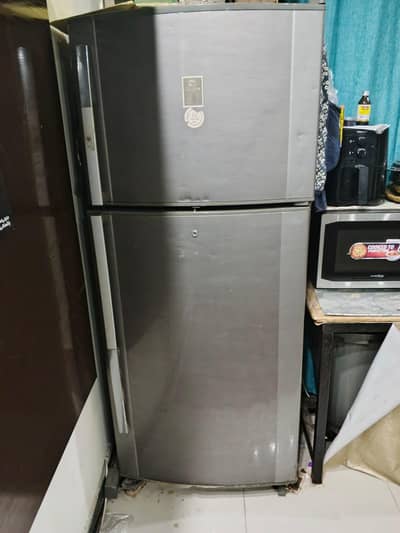 frighe for sale