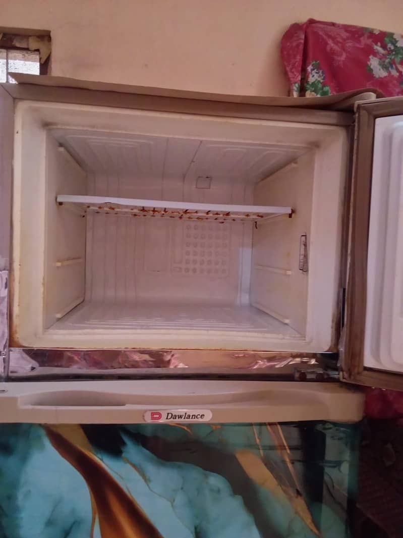 Freezers 1