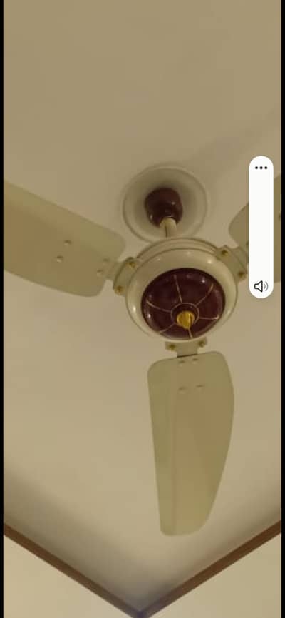 royal ceiling fan